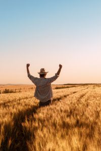 Agriculture and Food Processing