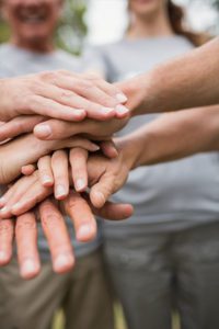 Government & Non-Profit