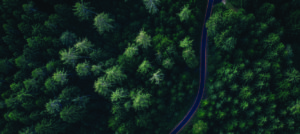 About Frost