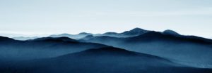 Frost PLLC Certified Public Accountants