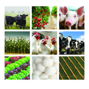food processing and agriculture