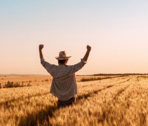 Food Processing and Agriculture