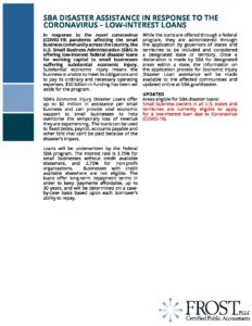 Detail.DisasterAssistanceLowInterestLoans pdf