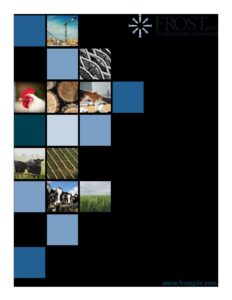 FrostOverview pdf