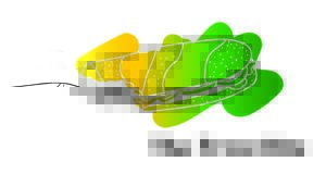Header summer21 03