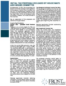 Detail.InitialTaxProposals2021 pdf